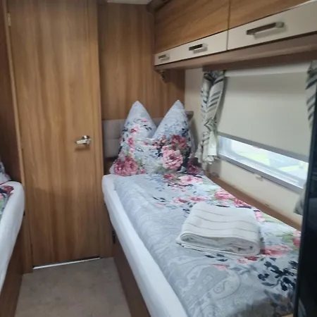 Camp